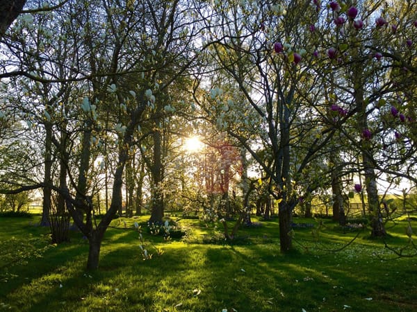 Spring in the Cotswolds- Outreach.jpg